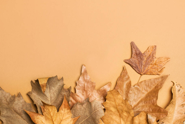 Herbstblätter auf braunem Hintergrund in einer Draufsicht mit Kopierraum - Foto, Bild