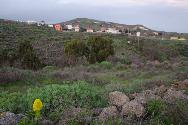 Village of La Pasadilla in Ingenio. Gran Canaria. Canary Islands. Spain. - Фото, изображение