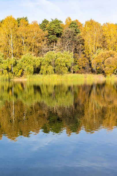 colorful trees on shore of pond in city park on sunny autumn day - Photo, Image