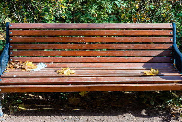 front view of wooden bench with used medical face mask and yellow fallen maple leaves in city park on sunny autumn day - Photo, Image