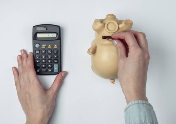 Obliczanie budżetu rodzinnego. Kobieta używa kalkulatora i umieszcza monetę w skarbonce na szarym tle. Widok z góry - Zdjęcie, obraz