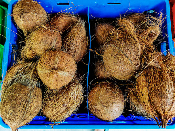 Noix de coco brune pelée crue placée dans un kart bleu pour la vente en Inde - Photo, image