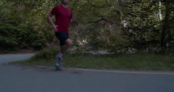 Mies juoksee yksin metsässä päiväsaikaan  - Materiaali, video