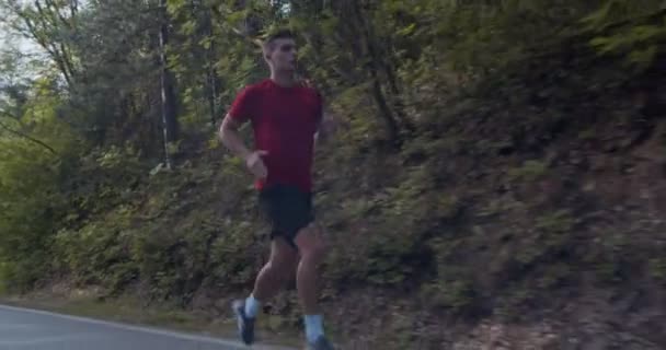 Hombre corriendo solo en el bosque durante el día  - Imágenes, Vídeo