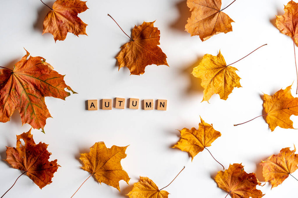 Podzimní skladba s písmeny. Rámeček podzimního suchého listí na bílém pozadí. Byt ležel, horní pohled, kopírovací prostor - Fotografie, Obrázek