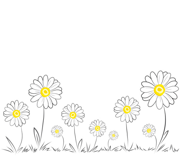 Daisies fehér alapon - Vektor, kép