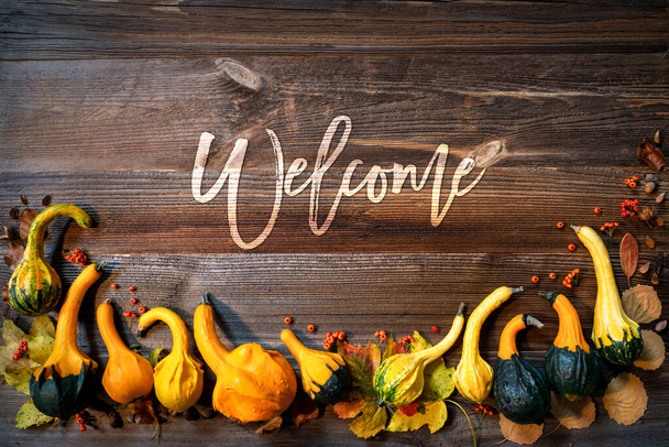 Colorful Pumpkins As Autumn Season Decoration, Text Welcome - Zdjęcie, obraz