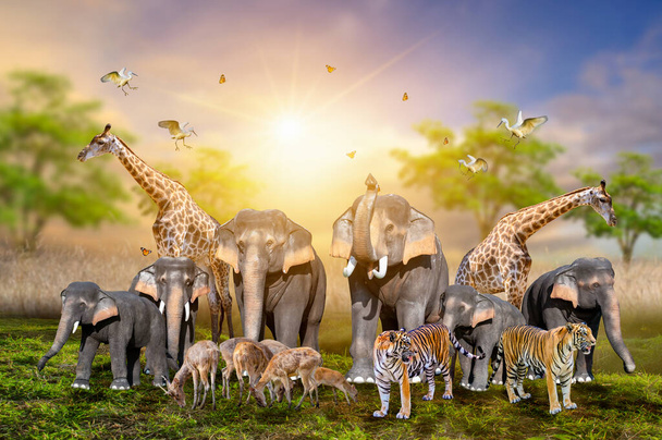 Gran grupo de animales de safari africanos. Concepto de conservación de vida silvestre - Foto, Imagen