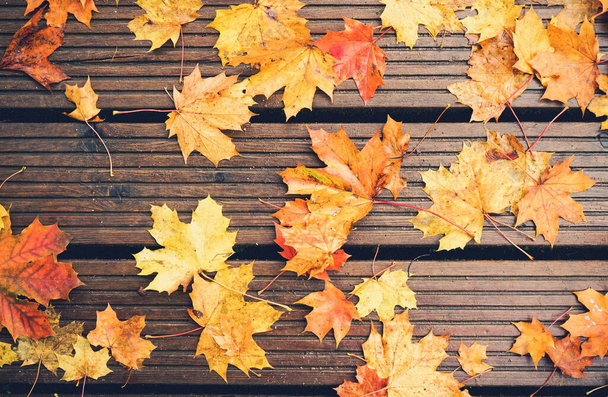 őszi levelek feküdt nedves fa deszkák - Fotó, kép