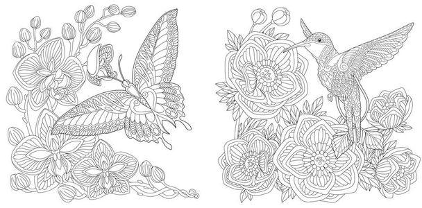 Coloring page. Butterfly and hummingbird. Line art drawing for adult or kids coloring book in zentangle style. Vector illustration. - Διάνυσμα, εικόνα