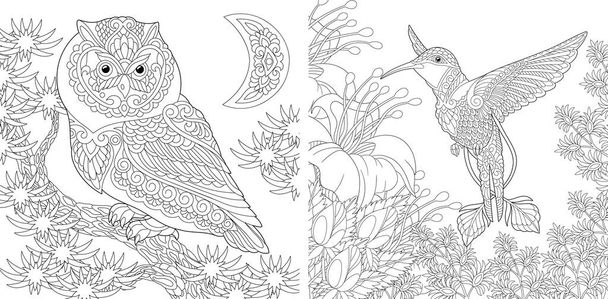 Coloring page. Owl and hummingbird. Line art drawing for adult or kids coloring book in zentangle style. Vector illustration. - Vector, Image
