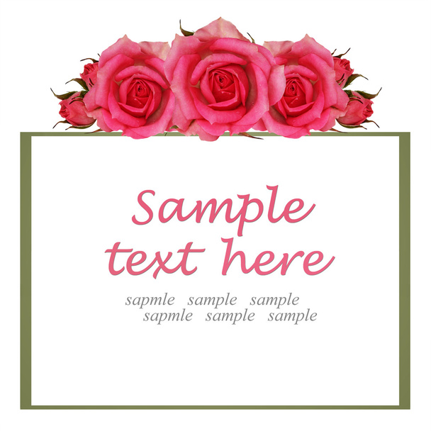 Рамка с розовыми цветами розы
 - Фото, изображение