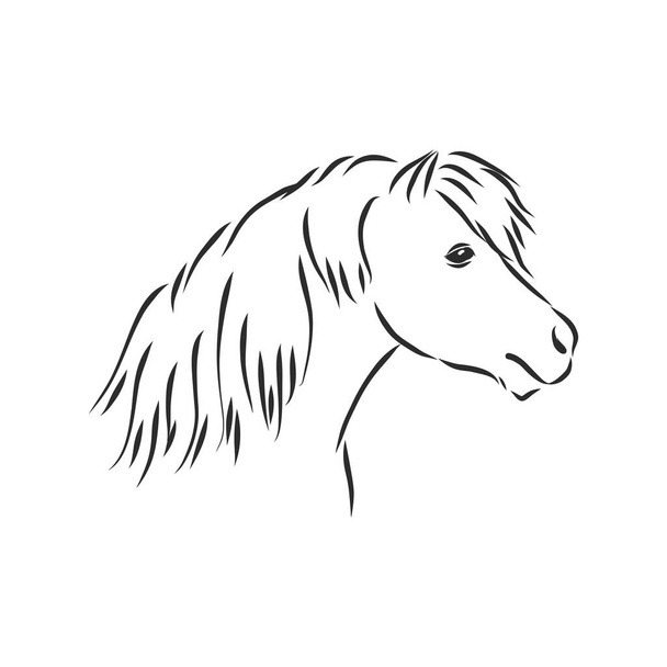 Vettore mano disegno pony in colore nero isolato su sfondo bianco - Vettoriali, immagini