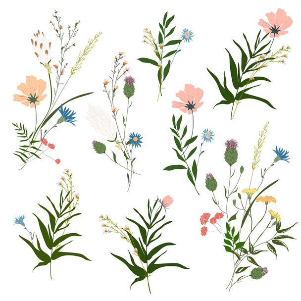 手描きの花コレクション。大きなセット植物の枝、葉、葉、ハーブ、花束の野生植物 - ベクター画像