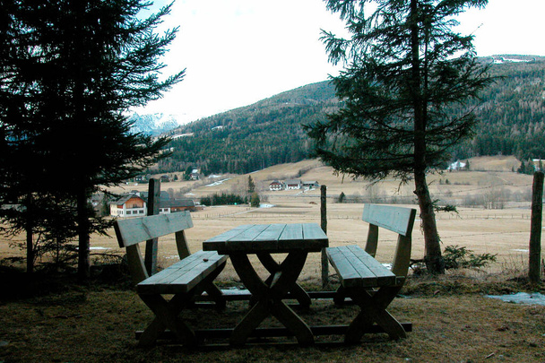 ławka ogrodowa, meble do siedzenia na zewnątrz, relaksująca i przyjemna przyroda - Zdjęcie, obraz