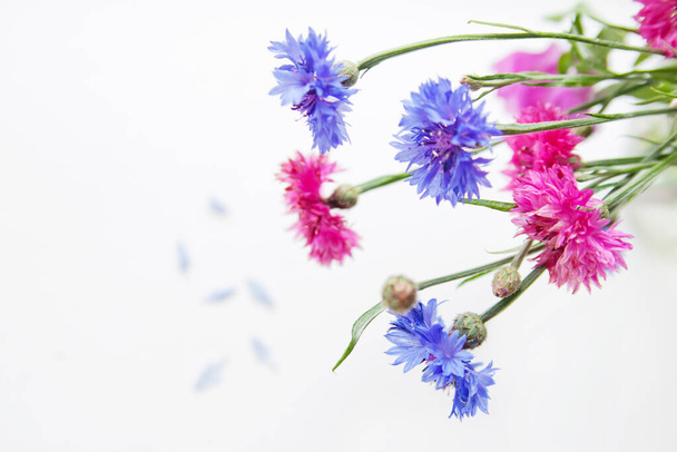Pink and blue cornflowers. Bright flowers. - Foto, Imagen