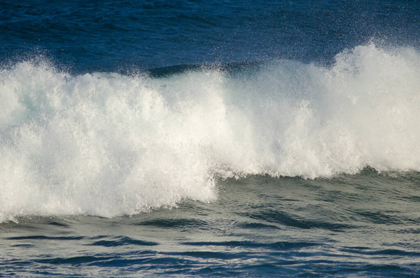 Wave breaking in the coast of Arinaga. - Photo, Image