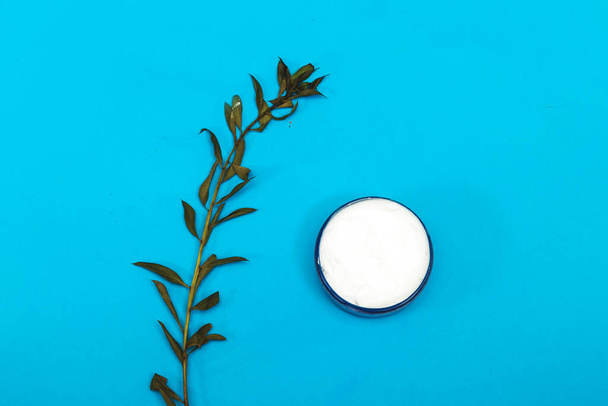 kosmetický krém, rostlina izolovaná na modré - Fotografie, Obrázek
