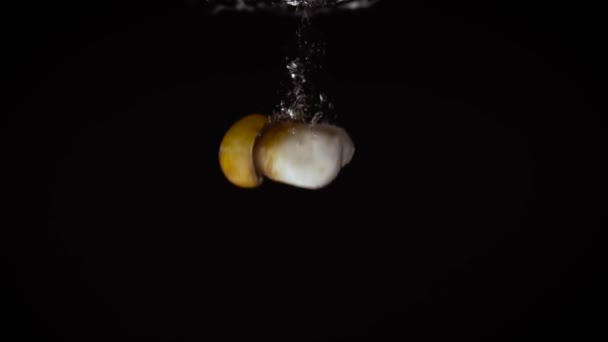 Un bolet edulis de champignon de taille moyenne tombe latéralement dans l'eau sur un fond noir avec une tige blanche et un chapeau jaune, se levant pour former des bulles d'eau. - Séquence, vidéo