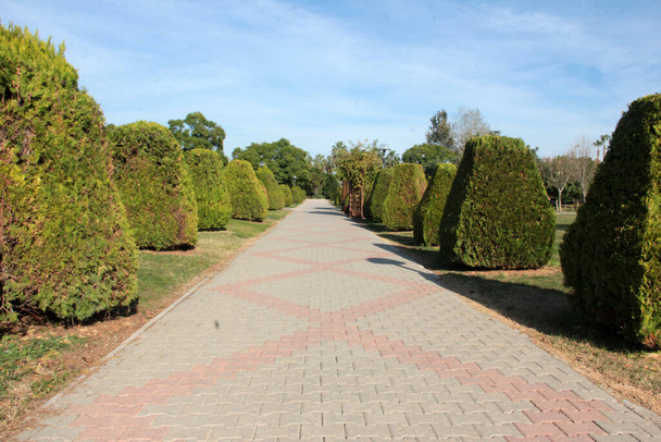 decorative stone pavement road in the park - Photo, Image