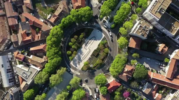 Circolare movimento verticale vista aerea su una rotonda con alberi a Nimes Francia giornata di sole - Filmati, video