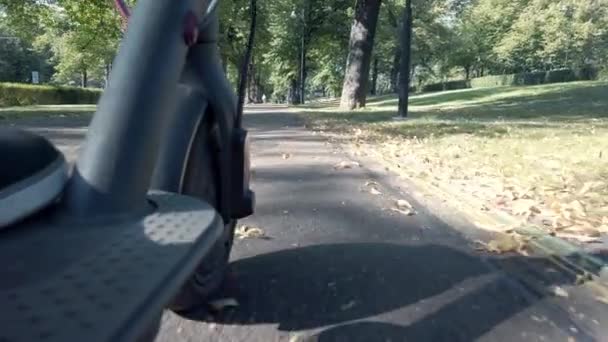 低角度:誰かがカラフルな秋の通りを電動スクーターに乗っています。観光客は公園内のパスに沿って電動スクーターに乗る. - 映像、動画