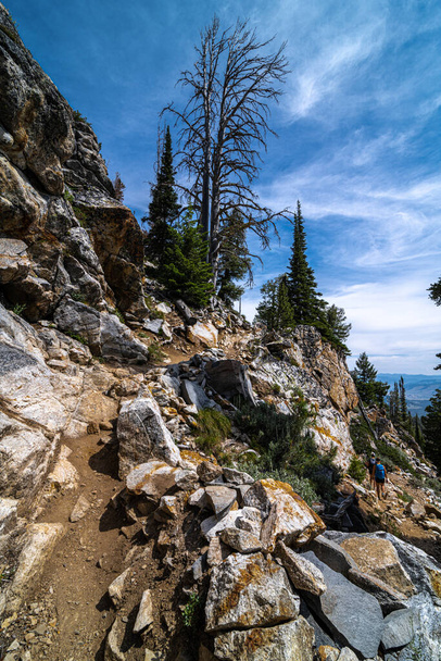 Ścieżka Iron Creek, Sawtooth Wilderness w rejonie gór Sawtooth, Idaho - Zdjęcie, obraz