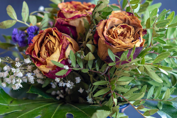Κοντινό πλάνο μπουκέτο αποξηραμένων τριαντάφυλλων και διαφόρων συμπληρωματικών φυτών. - Φωτογραφία, εικόνα