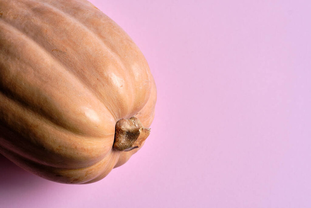 Close-up Butternut pumpkin on the pink background. Concept of autumn harvest. Vegetarian nutrition. Copy space image. - Zdjęcie, obraz