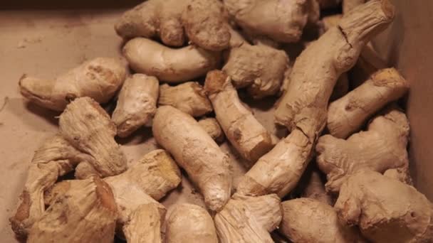 ginger root on the shelves of a hypermarket or vegetable market close up selective focus - Footage, Video