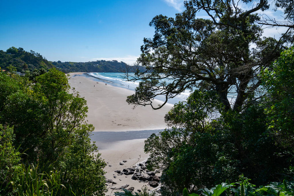 View along Onetangi Beach from surrounding hills and between trees. - Foto, Imagem