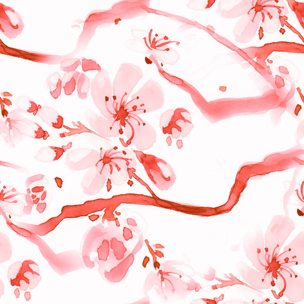 桜のイラスト。Appleの背景.  - 写真・画像