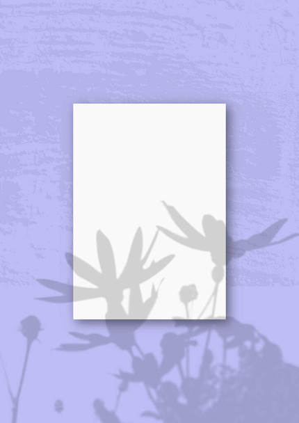 Hoja vertical A4 de papel texturizado blanco sobre el fondo de la pared lila. Mockup superpuesto con las sombras de la planta. La luz natural proyecta sombras desde una alcachofa de Jerusalén flores . - Foto, imagen