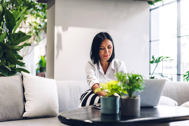 幸せな美しいバックビジネス女性はノートパソコンを使用してリラックスして白いシャツを身に着けています。緑の植物テラスでソファの上で働いて座っている若いヒップスターの女の子のフリーランス装飾されたオフィス - 写真・画像
