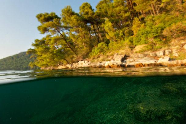 La foto submarina de Salt lake en la isla de Mljet, Mar Adriático en Croacia - Foto, imagen