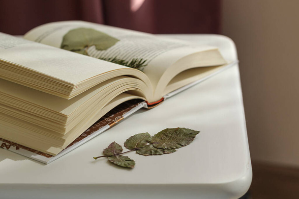 An open book lies on a white nightstand. Leaf of a plant dried in a book. Leisure quarantined at home. - Photo, Image
