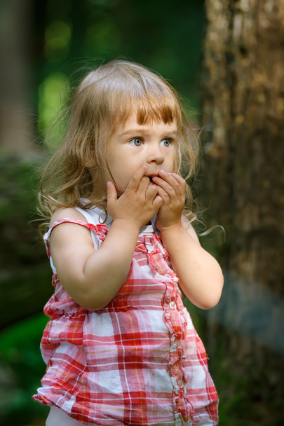 Little girl in the forest - Photo, image