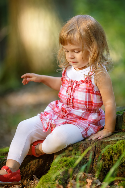 Little girl in the forest - Foto, afbeelding