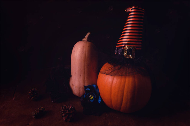 A closeup shot of two Halloween pumpkins wearing a witch hat and a blue rose on the middle - Fotoğraf, Görsel