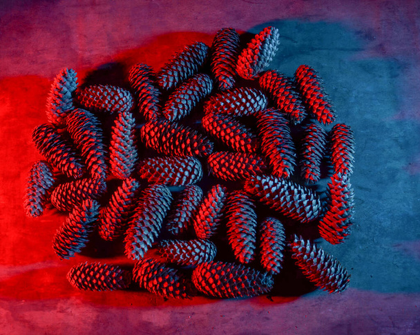 Montón de conos de abeto en colores modernos. Fondo natural - Foto, imagen