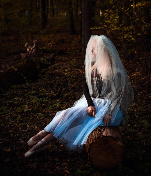 Mystische Szene im Wald, Mädchen im Brautkostüm, mit Schleier, Halloween-Ideen  - Foto, Bild
