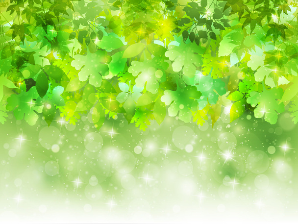 Plant leaf background - Вектор, зображення