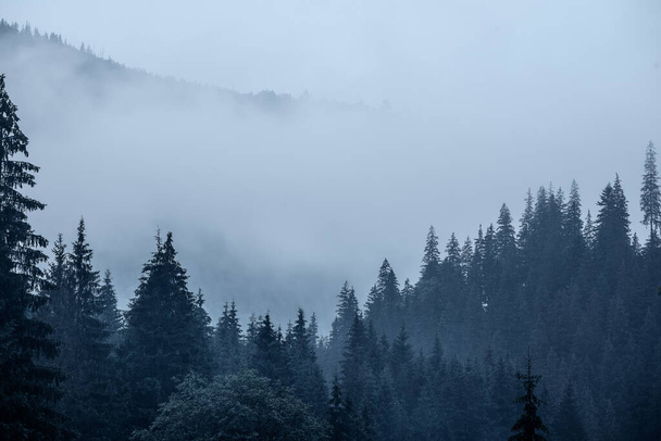 Paesaggio di montagna nebbioso - Foto, immagini