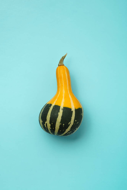 Yellow-green small striped elongated pumpkin on a blue background, still life. Flat lay composition. - Foto, immagini