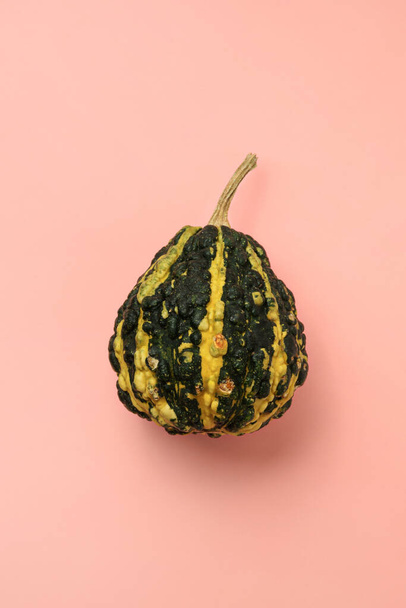Fancy green striped pumpkin on a pink background, still life. Flat lay composition. - Foto, afbeelding