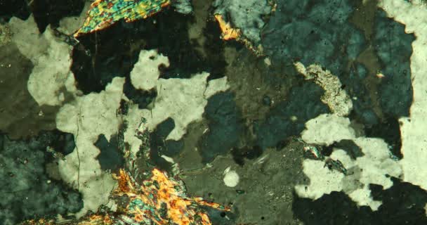 Gneiss seção fina de pedra sob o microscópio em luz polarizada - Filmagem, Vídeo