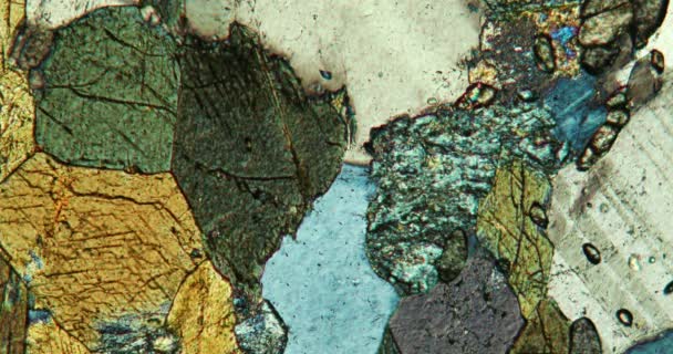 Αμπιβολίτης βραχώδες τμήμα κάτω από το μικροσκόπιο σε πολωμένο φως - Πλάνα, βίντεο