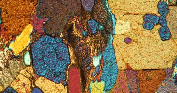 Eklogit mince section de pierre sous le microscope en lumière polarisée - Séquence, vidéo