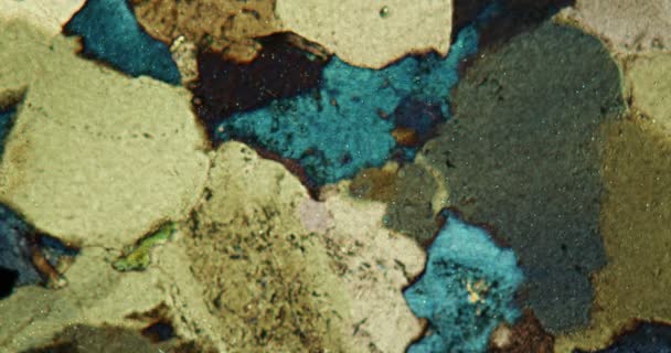 Pedra de granito cortada sob o microscópio em luz polarizada - Filmagem, Vídeo