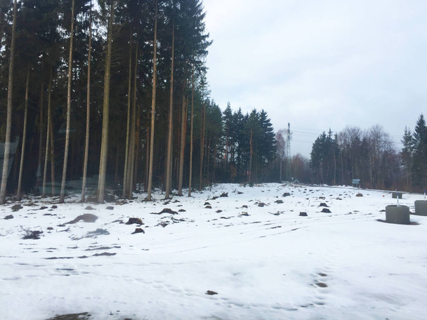 Ośnieżone pole, Krajobraz zimowy w Czechach - Zdjęcie, obraz